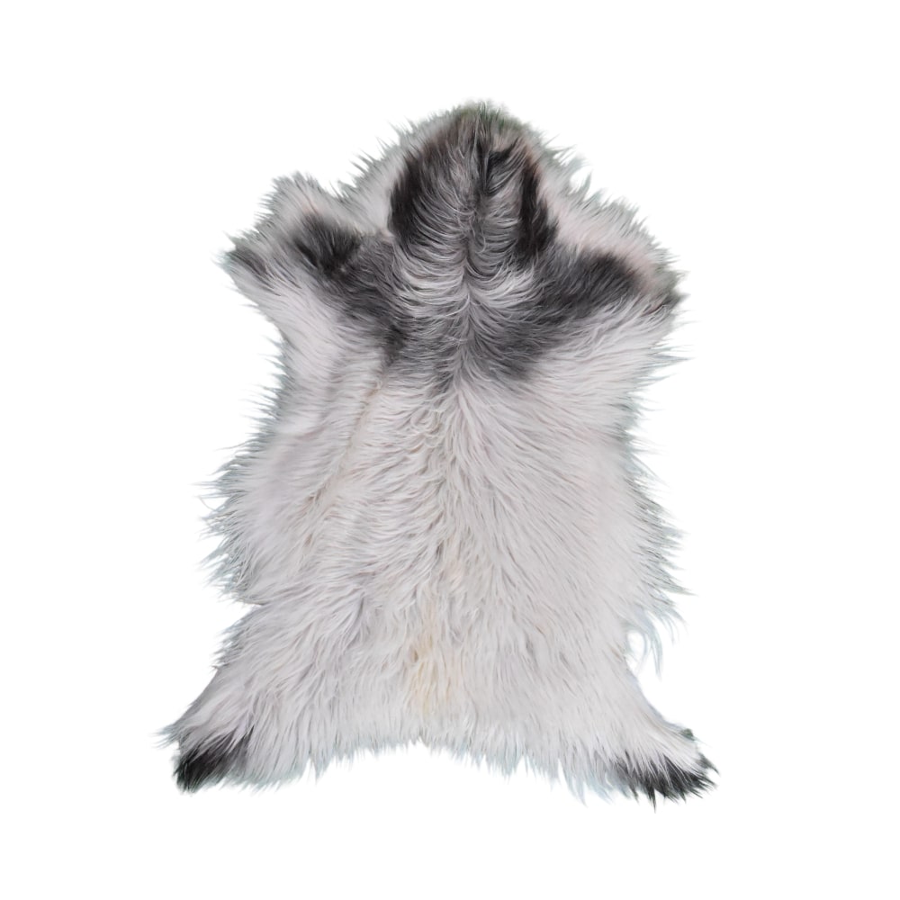 Cuero de Cabra Pelo Largo<span> - </span>CABRA 3