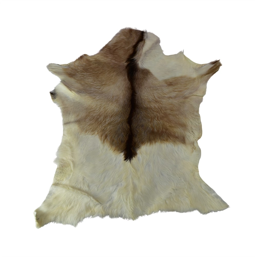 Cueros de Cabra Pelo Corto<span> - </span>CABRA 3