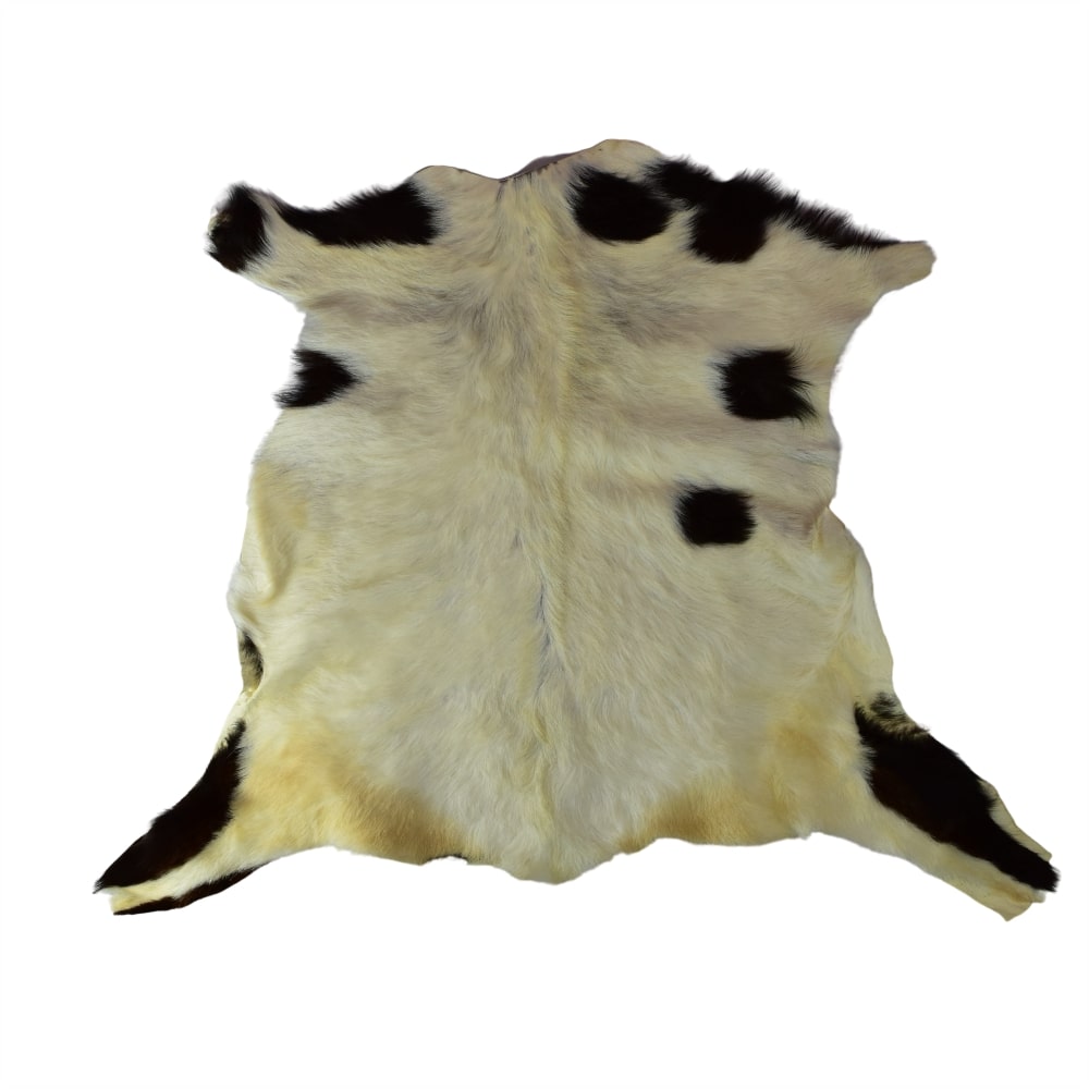 Cueros de Cabra Pelo Corto<span> - </span>CABRA 4