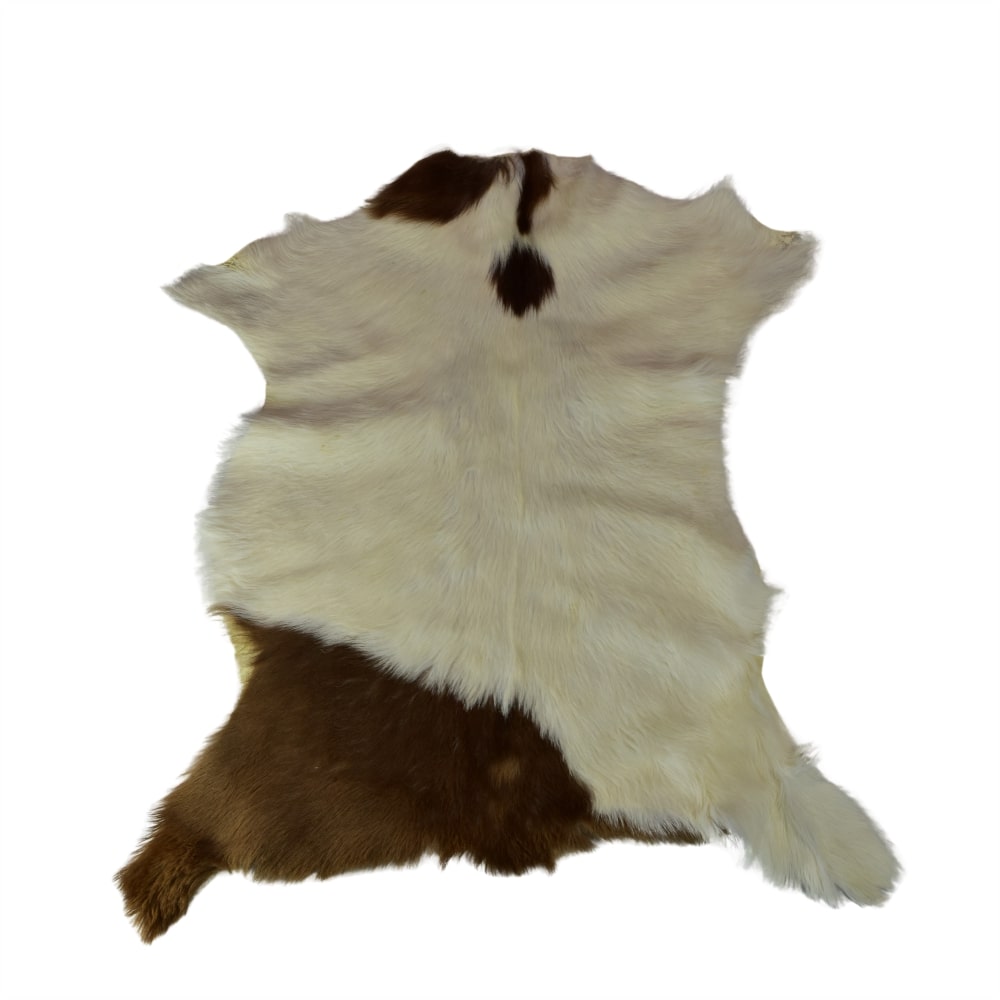 Cueros de Cabra Pelo Corto<span> - </span>CABRA 5