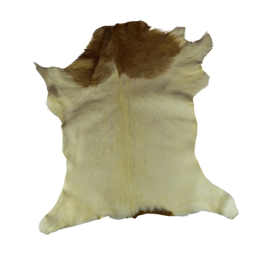 Cueros de Cabra Pelo Corto<span> - </span>CABRA 7