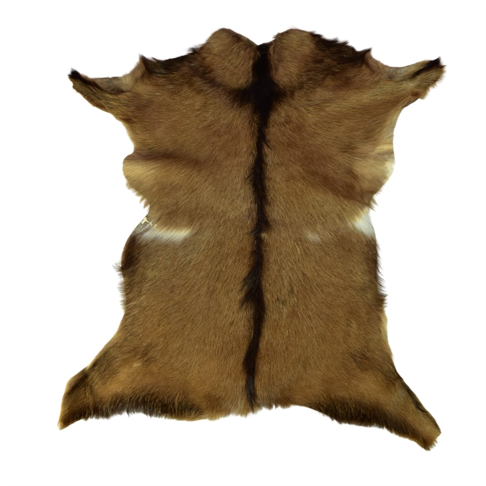 Cueros de Cabra Pelo Corto<span> - </span>CABRA 8