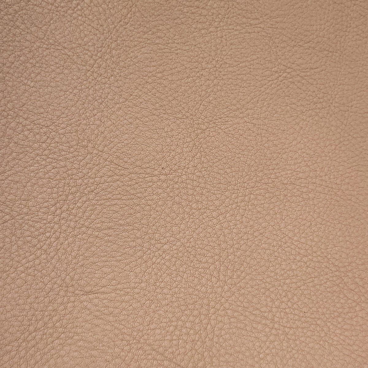 Cuero Vacuno para Tapicería<span> - </span>LEDER Beige