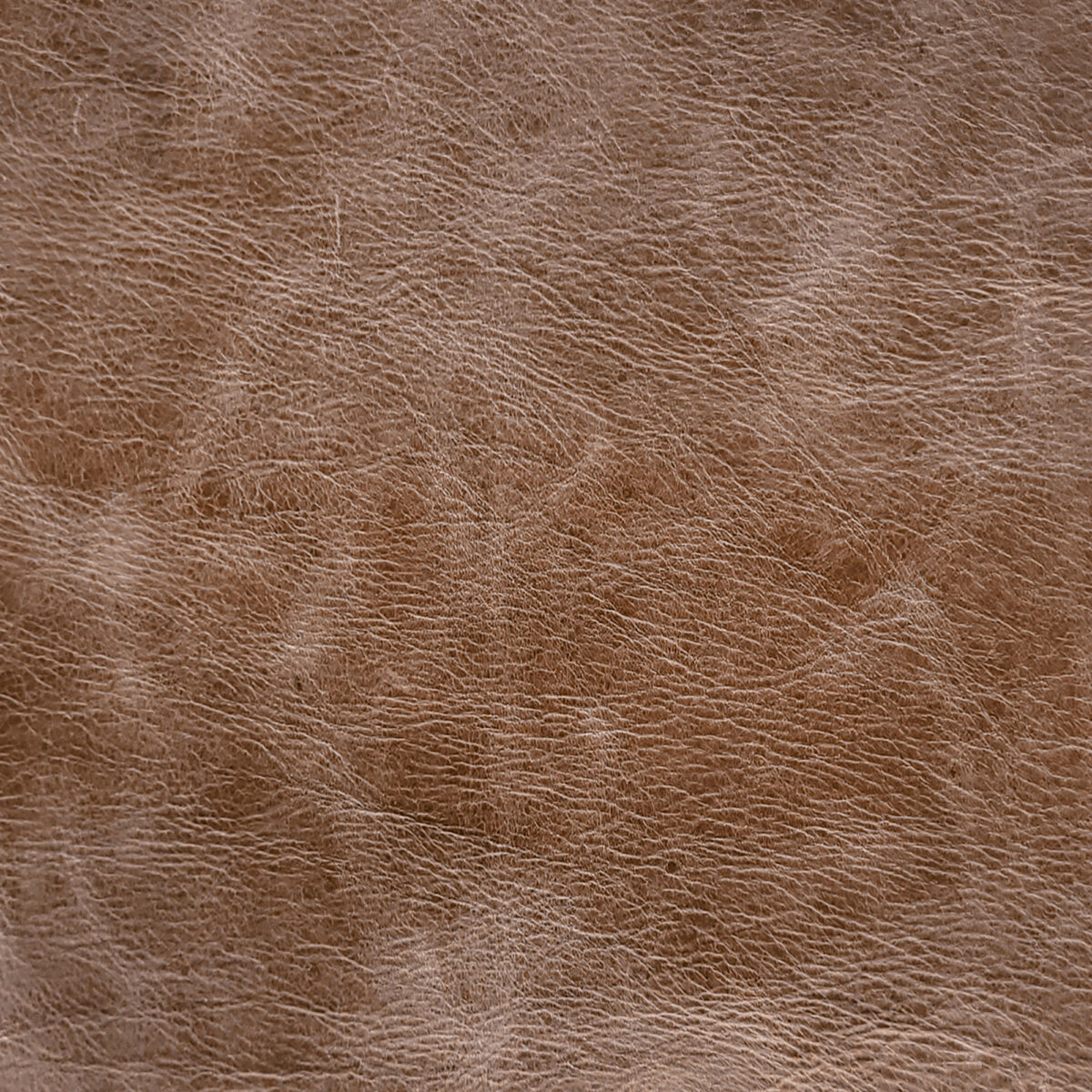 Cuero Vacuno para Tapicería<span> - </span>CRASH Marrón