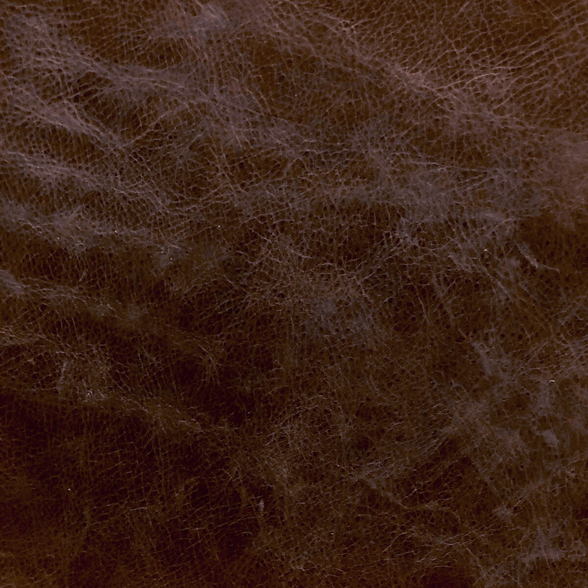 Cuero Vacuno para Tapicería<span> - </span>CRASH Habano