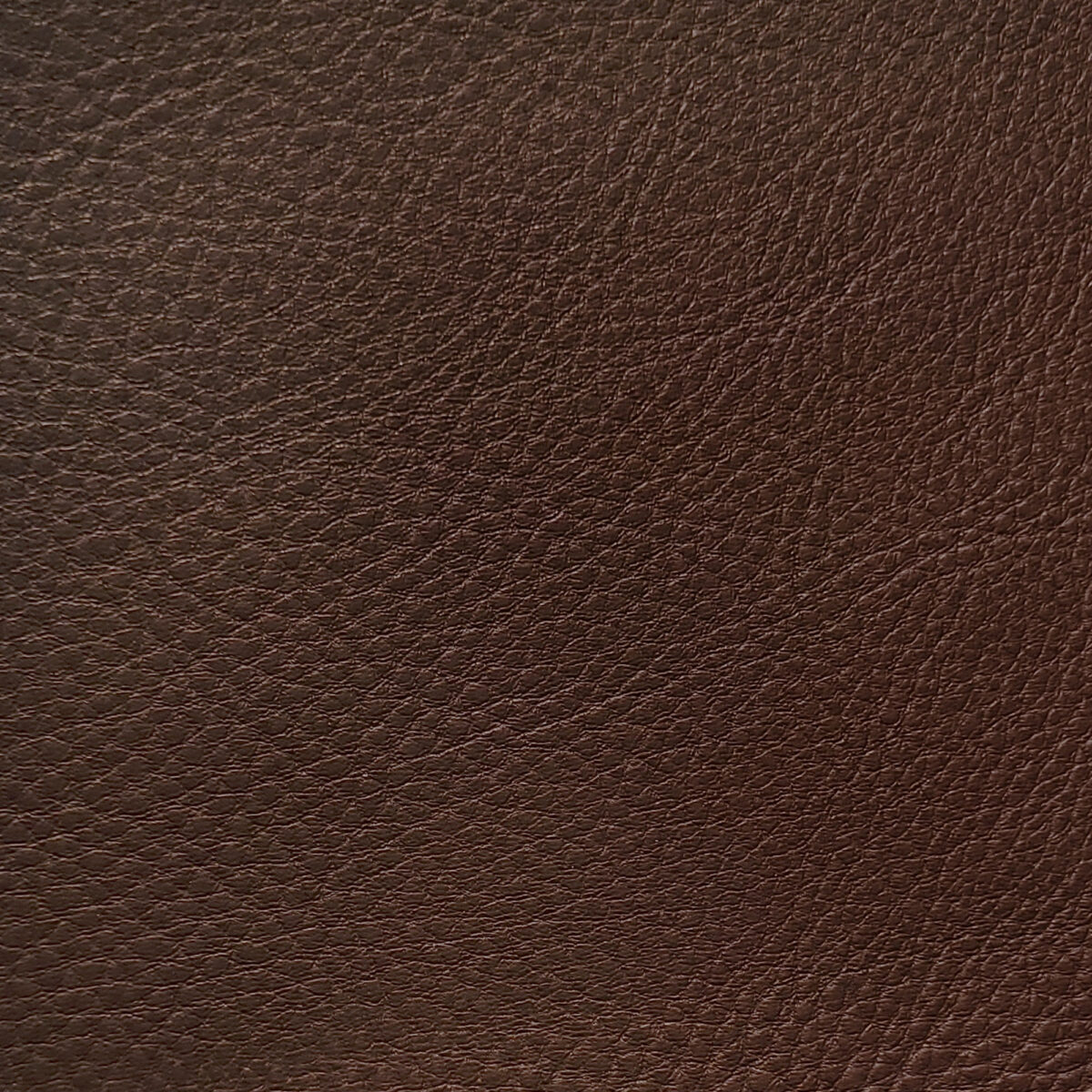 Cuero Vacuno para Tapicería<span> - </span>LEDER Habano