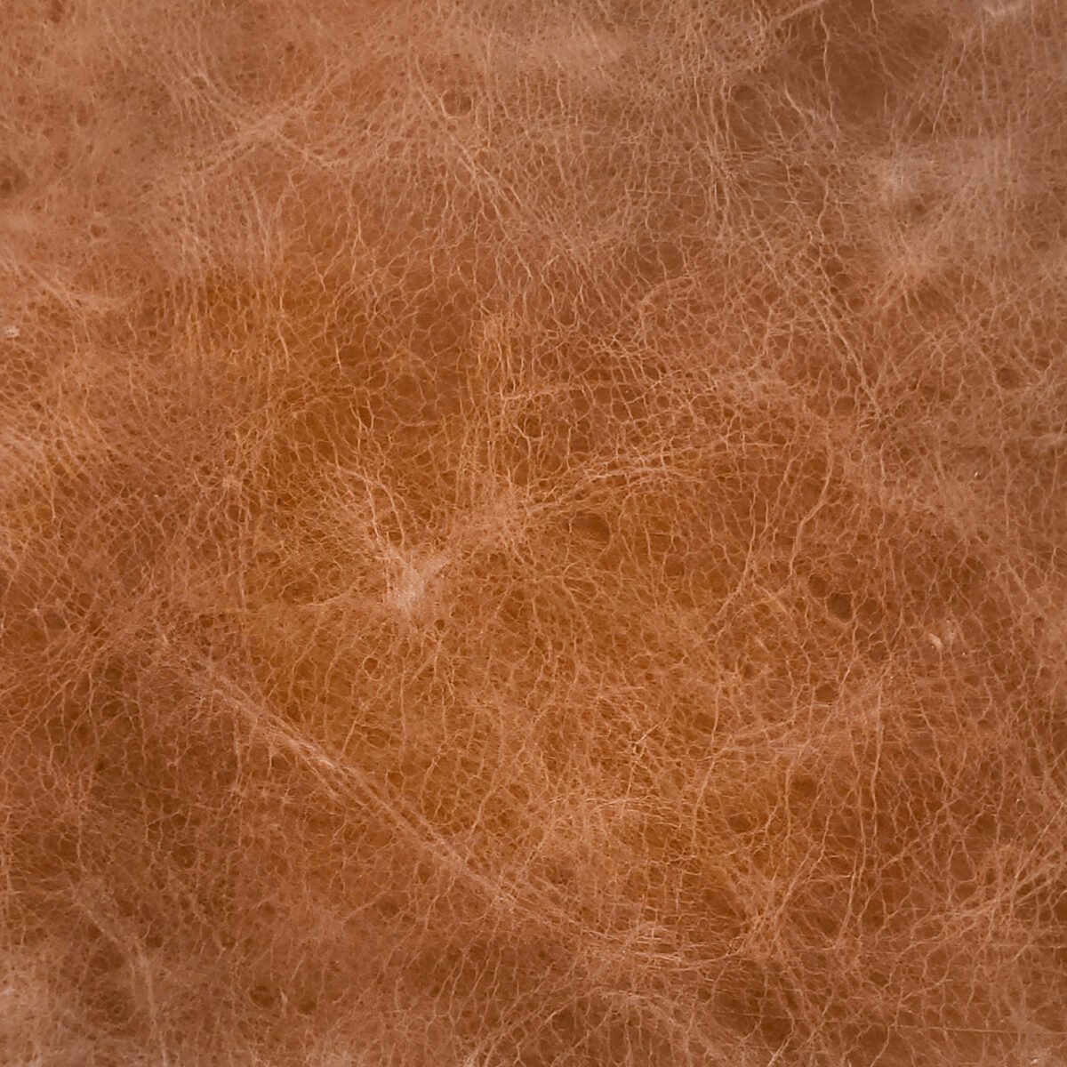 Cuero Vacuno para Tapicería<span> - </span>CRASH Suela