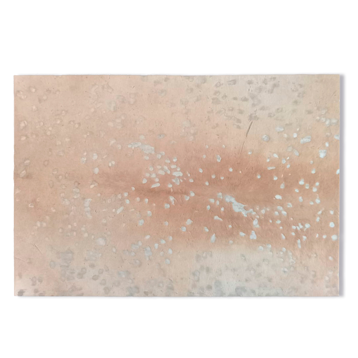 Cuadros de Cuero Vacuno<span> - </span>CSILVER100X170